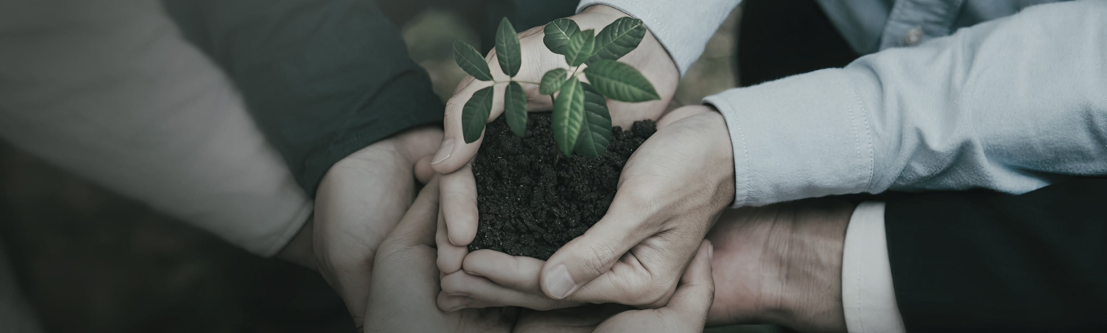 Responsabilidad Social Empresarial