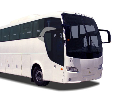 Servicio de Buses Piso Simple